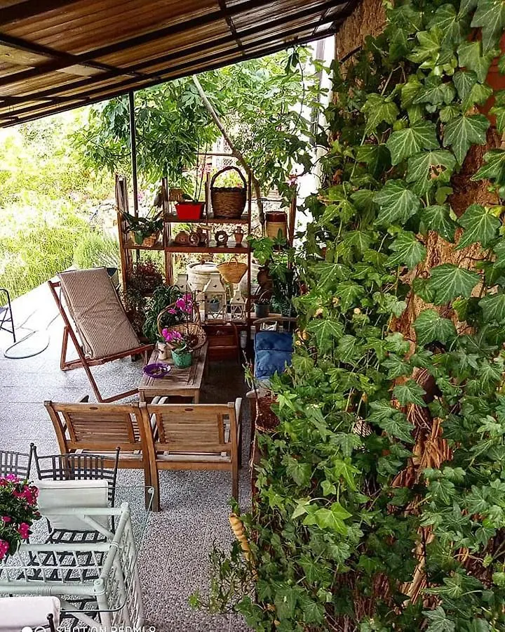 I leoni di Sicilia Villa Palermo 0*,