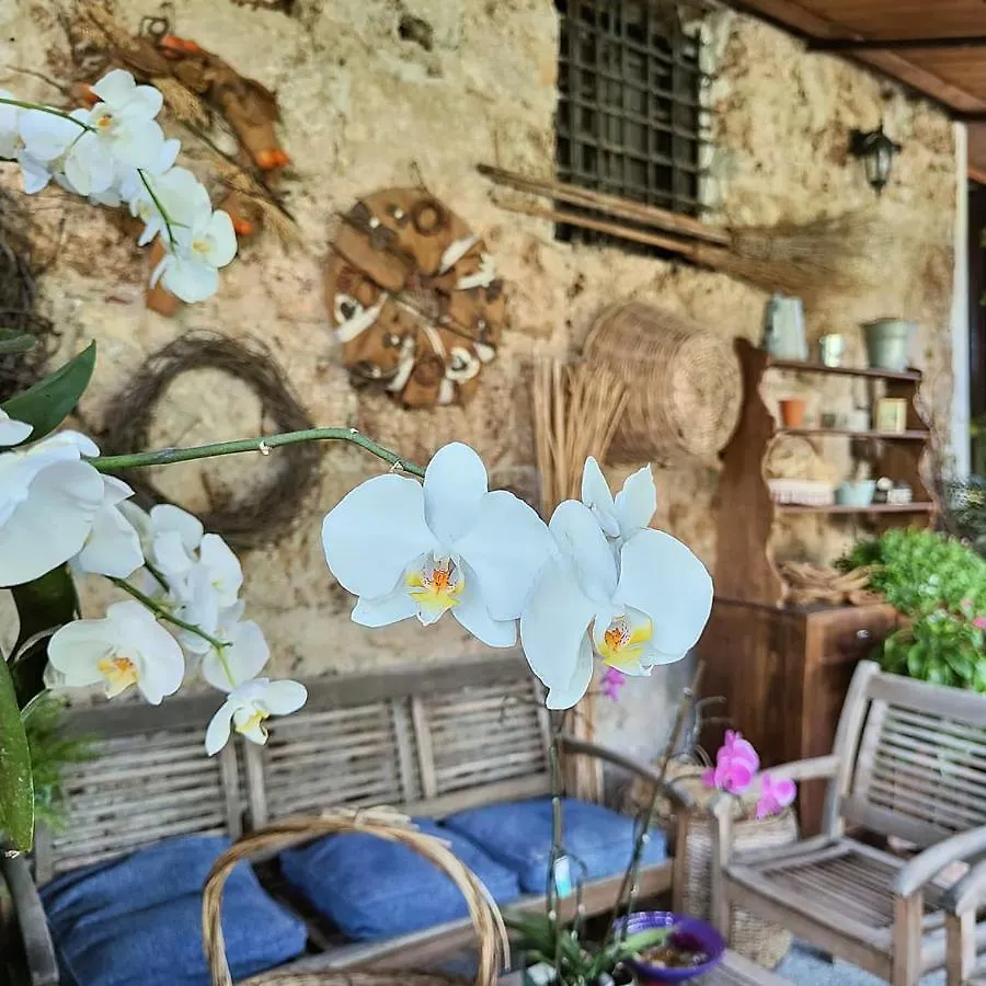 Semesterbostad I Leoni Di Sicilia Palermo Villa